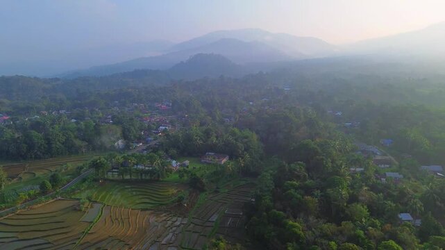Aerial view of lush green rice terraces at sunrise with golden light reflecting in the water, surrounded by palm trees and misty mountains in Wonosobo, Central Java, Indonesia.