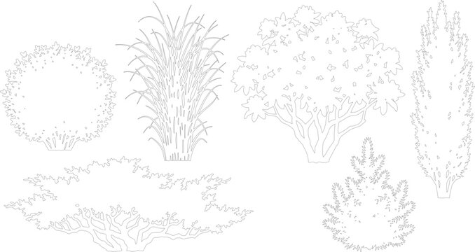 Vector set of shrubs and bushes in elevation view for use in architectural drawings isolated on white background