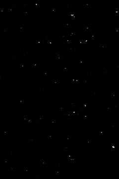Small white snow particles on black background, winter overlay texture.