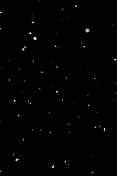 White snowflakes scattered on black background, isolated overlay effect.