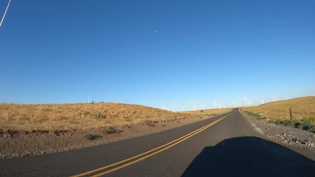 4K action camera driver's point of view of a wind farm near Arlington, Columbia River Gorge, Oregon, USA at morning light. Rotating wind turbines producing clean renewable electricity in strong winds