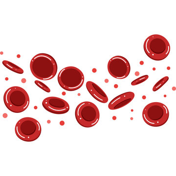 Red Blood Cell Illustration