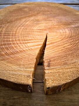 Cracked wooden log cross section with annual rings, conceptual view
