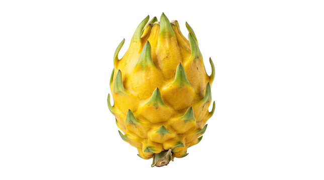 Yellow dragon fruit with vibrant green scales. Fresh organic pitaya cactus fruit. Exotic tropical pitahaya for healthy eating. isolated PNG with Transparent Background