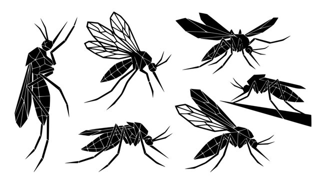 Mosquito silhouette vector set featuring low poly geometric bloodsucking insects gnats and tropical parasite icons isolated on white background vector