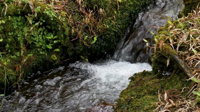 A small clear stream flowing rapidly between green mossy rocks. Natural outdoor footage suitable for relaxation or meditation visuals.