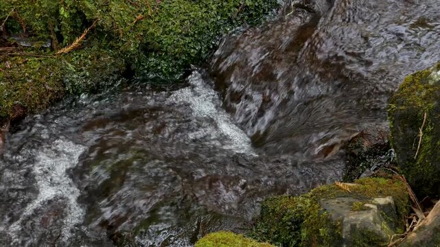 Close-up slow motion of clear water flowing between moss-covered rocks in a forest stream. Peaceful nature footage for relaxation and background use.