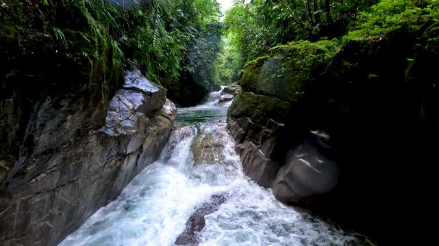 Narrow Whitewater River Gorge in Ecuador Rainforest with Dark Rock Walls, Green Moss, Fast Rapids and Remote Jungle Nature Landscape