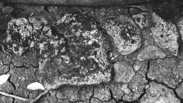 Black and white close-up of weathered natural stones with moss, rough textures, cracks and fallen leaves, creating an earthy monochrome background