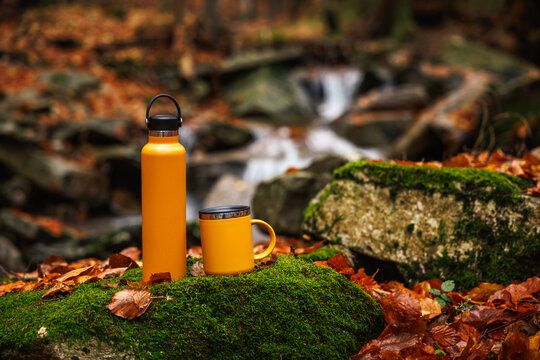 Thermos and travel mug at mountain stream in autumn forest. Hiking equipment. Insulated bottle for keeping hot drink all day