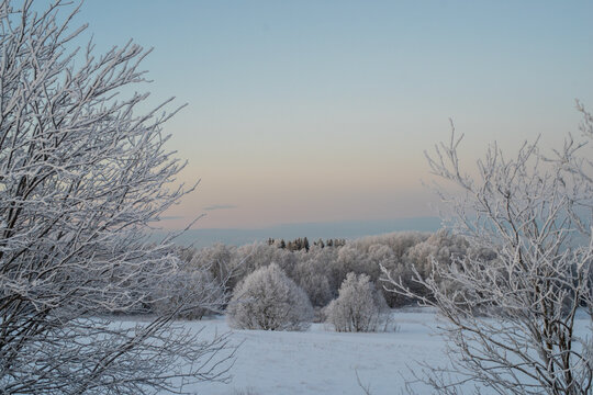 Winter landscape in Estonia with frost-covered trees framing the scene. he bare branches are delicately coated with ice giving them a shimmering white appearance. Frozen Baltic Sea in a background.