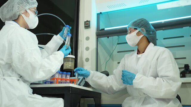 Scientists conduct chemical research and data analysis in a modern laboratory, driving innovation, biotechnology, healthcare, and scientific discovery through teamwork.