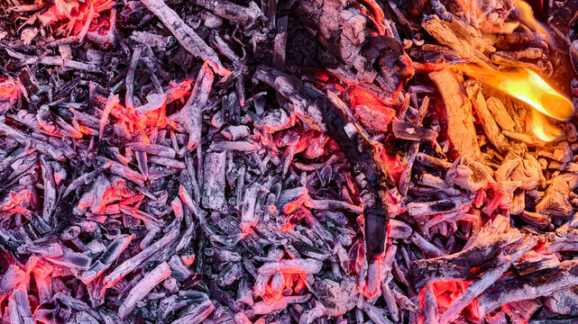 Campfire background with glowing embers and live fire flames.