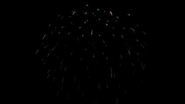 Firework Burst Over Dark Night Sky with Golden Sparks and Celebration