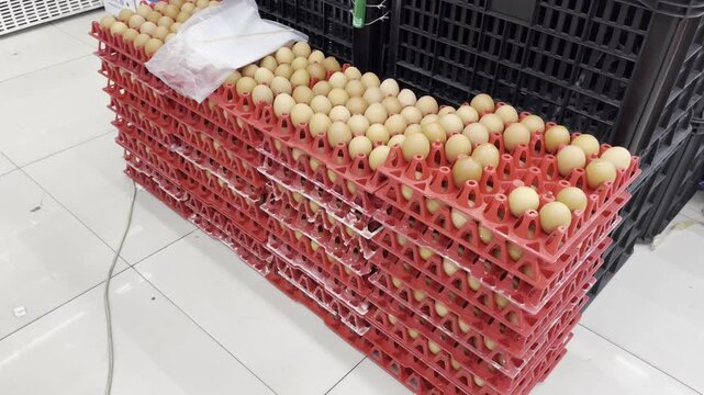 Rows of organic chicken eggs in bright red crates traditional marketplace