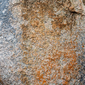 High‑resolution close‑up of a natural rock surface showing detailed texture, organic patterns, and weathered geological features. Ideal for backgrounds, design elements, and nature‑themed creative pro
