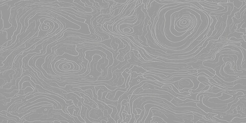 Abstract grey and white topographic map pattern with topography abstract background elevation cartography geography minimalist landscape navigation technical visualization creative © MOHAMAD