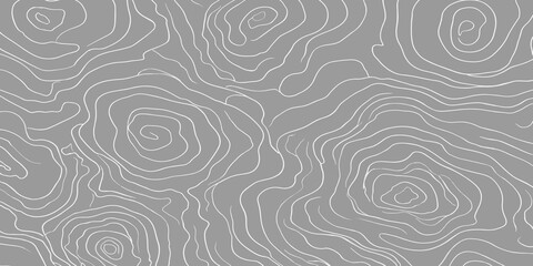 Fototapeta premium Topographic map abstract background pattern with topography abstract background elevation cartography geography minimalist visualization landscape geometry monochrome navigation technical