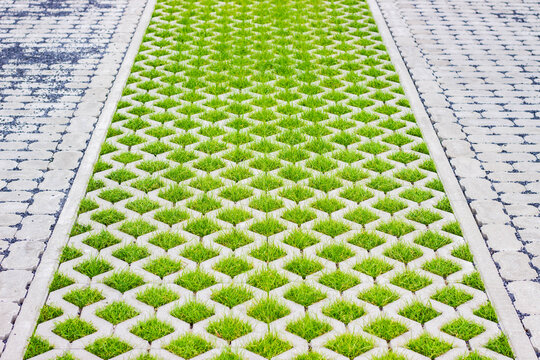 Green grass growing through patterned concrete pavers creating a unique walkway design in a modern outdoor setting with contrasting textures and colors