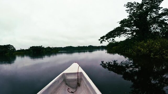 Boat Bow on Calm Amazon Rainforest River in Ecuador, Dark Water Reflections, Dense Green Forest Banks and Remote Jungle Travel Perspective