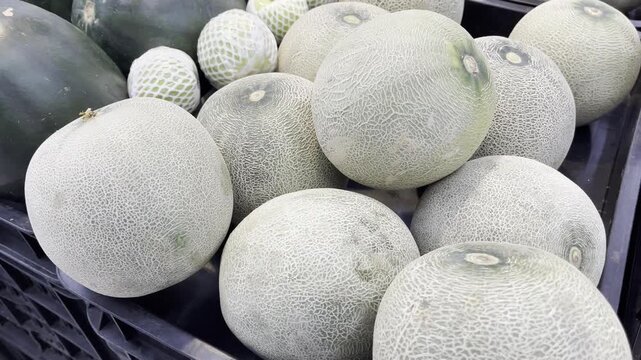 Fresh Organic Cantaloupe Melons Stacked in Supermarket Display