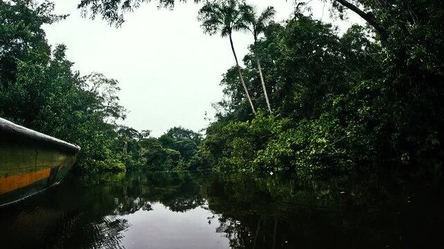 Boat Traveling Through Narrow Flooded Amazon Rainforest Channel in Ecuador, Brown Water, Dense Green Jungle Banks and Remote Wilderness Travel Scene