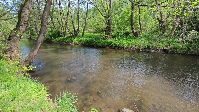 Spring Landscape of Iskar river near Pancharevo lake, Sofia city Region, Bulgaria