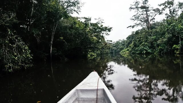 Boat Bow on Brown Amazon Rainforest River in Ecuador with Dense Jungle Banks, Calm Water, Tropical Vegetation and Remote Waterway Travel Scene