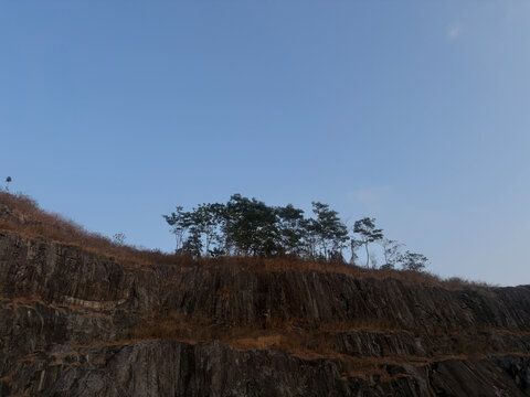 Rocky cliff face showing rugged geological layers topped with dry wild grasses and a cluster of green trees against a clear blue sky captured in natural outdoor daylight photography style.