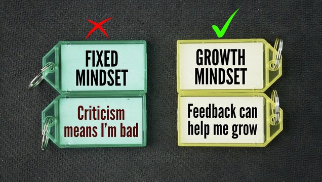Two fixed mindsets and a growth thinking mindset which is Criticism means I'm bad &rarr; Feedback can help me grow. stop feeling attacked. It lets you focus on learning new skills and improving your work.
