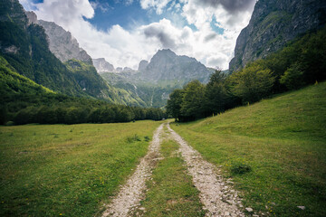 Obraz premium Unpaved road running through alpine valley in Montenegro. Wilderness adventure and road trip landscape.