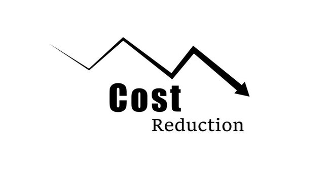 Cost Reduction and Expense Decrease Animated Icon, Business Finance Concept