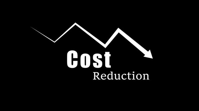 Cost Reduction and Expense Decrease Animated Icon, Business Finance Concept
