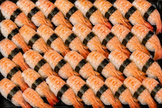 Prawn oe Ebi  Sushi Background. Sushi Background.