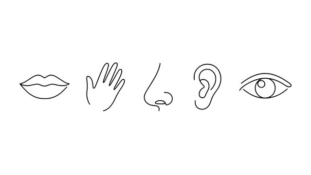 Minimalist line art icons representing the five human senses of sight hearing smell touch and taste