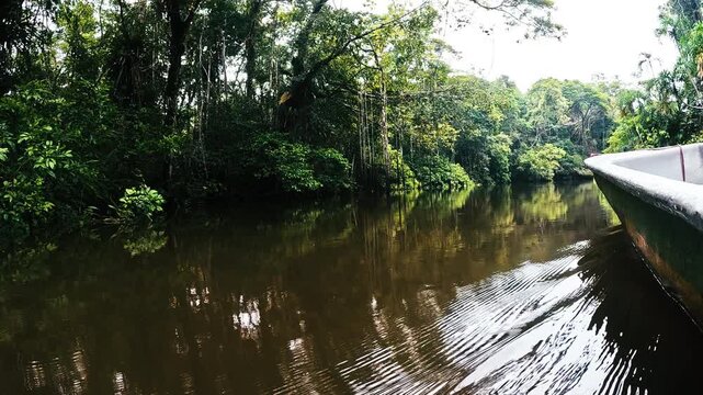 Boat Moving Through Flooded Amazon Rainforest in Ecuador, Brown Water Channel, Dense Green Jungle Banks and Remote Tropical Wilderness Landscape