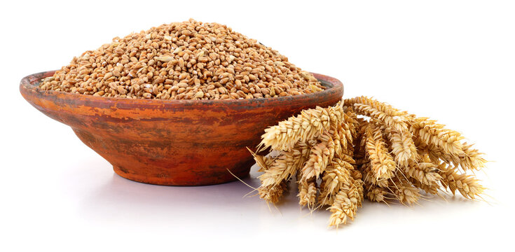 Wheat grains in clay bowl with ripe ears isolated on white background.