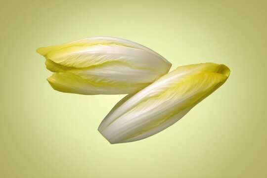 Ultra realistic endive leaves, pale yellow-green crisp texture, top-down flat lay, wide clean composition with negative space, solid monochrome soft yellow-green background slightly desaturated