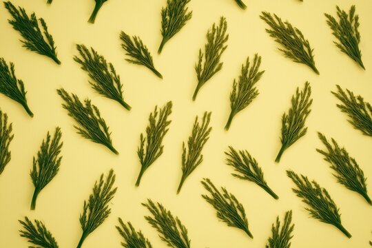 Ultra realistic fresh spirulina strands, neatly arranged organic texture, deep green color, top-down flat lay, wide editorial composition with negative space, soft pastel yellow background