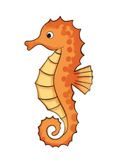 illustration of a cartoon sea horse © nsidikin