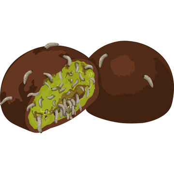 Spoiled Chocolate Mochi filled with Pistachio Cream and Maggots, Halloween Creepy Dessert Illustration.