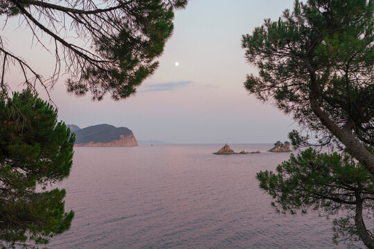 serene islands in the sea at dusk from land looking out to sea with trees and water in a coastal landscape at dusk with green and blue tones and a clean natural background. Petrovac, Montenegro