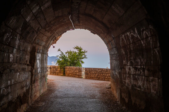 serene view through stone archway in outdoor scene with natural light and first-person perspective from inside the archway looking out at tree and path on concrete ground.