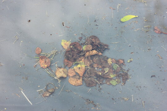 A pile of decaying leaves and debris scattered on a grey surface. The leaves are brown and dry, with some green fragments mixed in, suggesting natural decomposition or a neglected outdoor area