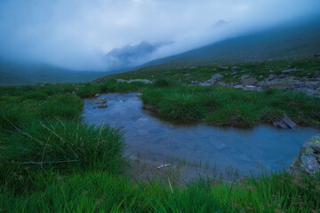 Serene alpine landscape featuring a clear stream winding through green grass under heavy mist. Perfect for wellness and nature themes. © marcodenaro