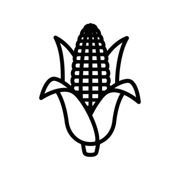 Isolated corn cob illustration on transparent background, simple line art icon
