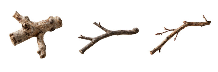 Fototapeta premium Set of Weathered Dry Wooden Branch transparent png background. Ai generated