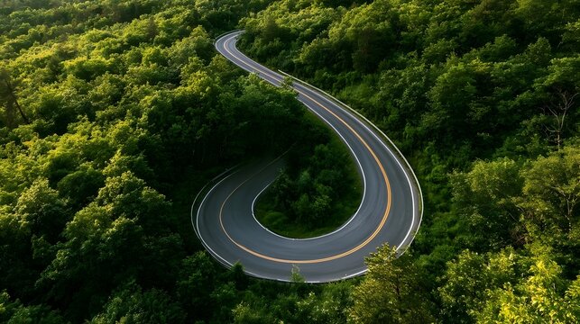 Scenic winding road in forest, suitable for green business concepts, climate responsibility, sustainable investment planning, and eco-conscious corporate messaging.