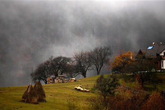 Foggy rural summer landscape in mountains