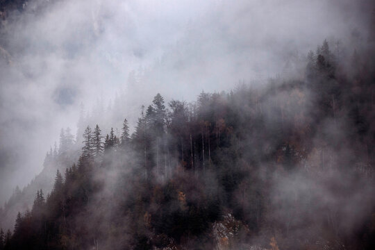 Beautiful mountain landscape in fall with colorful trees and white fog , aerial view. Misty forest